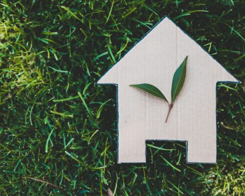 The Environmental Benefits of Accessory Dwelling Units: A Sustainable Housing Solution